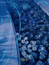 Kết Hôn Chớp Nhoáng - Episode 21