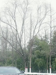 الحب الخاص - Episode 74