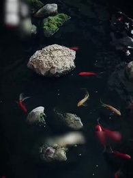 النجمة تطاردني بالحب - Episode 21