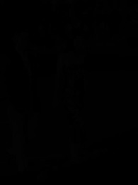 Soldat mit Drachenherz - Episode 42