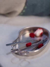 Tập 86 - Pháp Y Vương Phi Của Lãnh Vương Si Tình