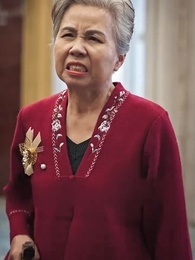 Commander Tiger - Episode 34