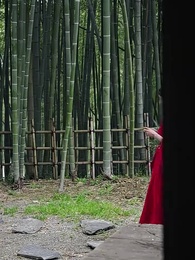 第7集 - 煉氣3000層,開局收女帝為徒