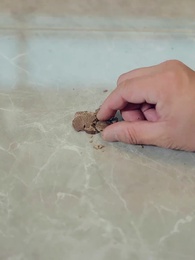 Episode 95 - Lord of Dragon