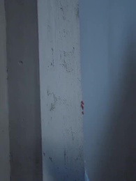 Tập 71 - Pháp Y Vương Phi Của Lãnh Vương Si Tình