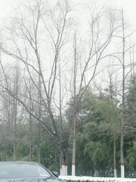 Episódio 74 - Amor Exclusivo