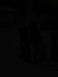 الحلقة 74 - له قلب التنين 