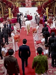 第14集 - 颯爽媽咪是大佬