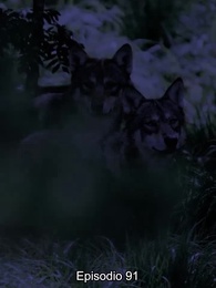 Rechazada por el Alfa - Episode 91