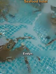 Episode 43 - The President's Mystery Lover