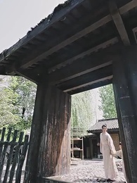 第4集 - 鳳凰鳴天