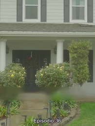 Episodio 36 - Rechazada por el Alfa