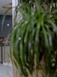 แต่งหลอกกลายเป็นรัก - Episode 42