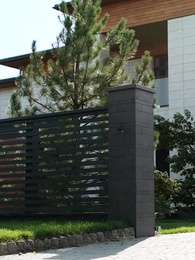 Episode 49 - Escaping As The CEO's Wife