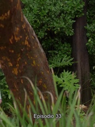 Episodio 33 - Matrimonio relámpago con mi Alfa