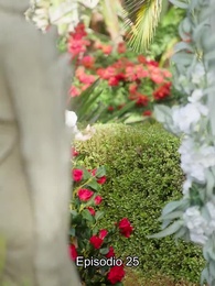 Episodio 25 - Matrimonio relámpago con mi Alfa