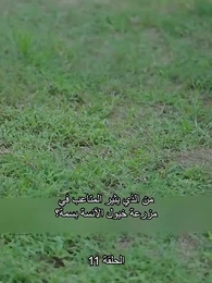 الحلقة 11 - زوجتي هي الرئيسة