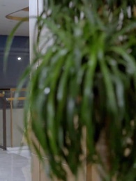 Episódio 42 - A Herdeira Única