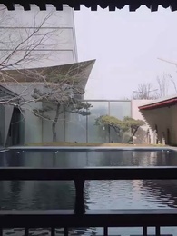 Episódio 62 - Dragão Supremo