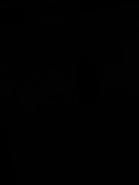 Episódio 16 - O Coração do Valente