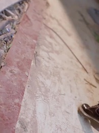 真偽のお嬢様の戦い - Episode 56