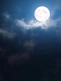 Episode 6 - Flash Marriage, Eternal Love