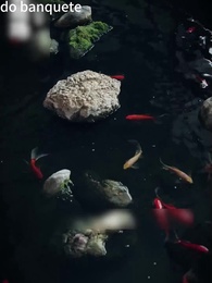 Perseguida por Estrelas Após a Desvalorização - Episode 21