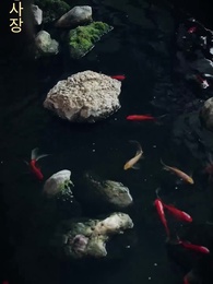 톱급 연예인 날 좋아한다고?! - Episode 21