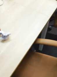 Ms. Janitor Turned CEO - Episode 25