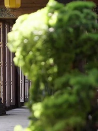 第47集 - 嬌嬌王妃駕到，撩撥王爺臉紅心跳