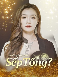 Lao Công Công Ty Là Sếp Tổng?