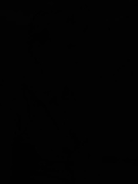 La Ascensión - Episode 82