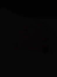 La Ascensión - Episode 63