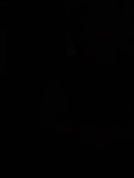 Episodio 37 - La Ascensión