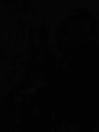 La Ascensión - Episode 61