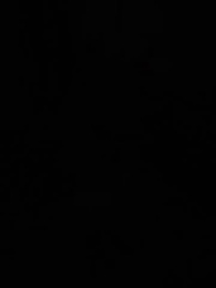 Episodio 22 - La Ascensión