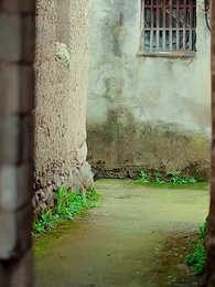 第32集 - 重生七零再高嫁