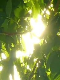 第101集 - 熱戀進行時