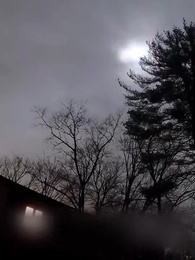 Episódio 32 - Meu Rei Lobo Pessoal