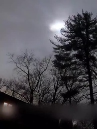 Episódio 42 - Meu Rei Lobo Pessoal