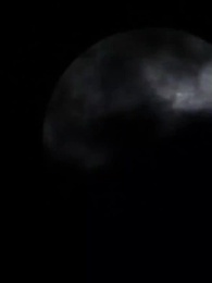 Meu Rei Lobo Pessoal - Episode 6