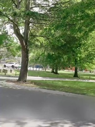 Episódio 67 - Meu Rei Lobo Pessoal