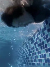 ตอนที่ 41 - ทองแท้ไม่กลัวไฟ