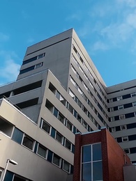 Dare you to love again, Mr. CEO - Episode 41