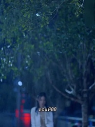 ตอนที่ 88 - หลังจากเธอตาย คุณป๋อคุกเข่าร้องไห้หน้าหลุมศพ