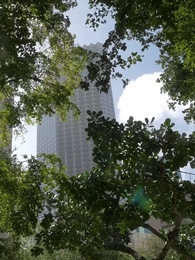 Dare you to love again, Mr. CEO - Episode 79