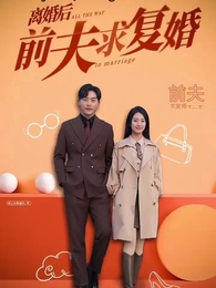 Tập 1 - Sau Ly Hôn, Chồng Cũ Cầu Tái Hôn