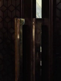 Episódio 31 - A Esposa Amada do CEO Retorna