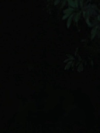 Episódio 17 - Renascida para Vingar a Lua