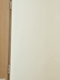 Episódio 38 - A Esposa Amada do CEO Retorna